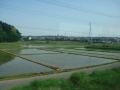 Narita Express